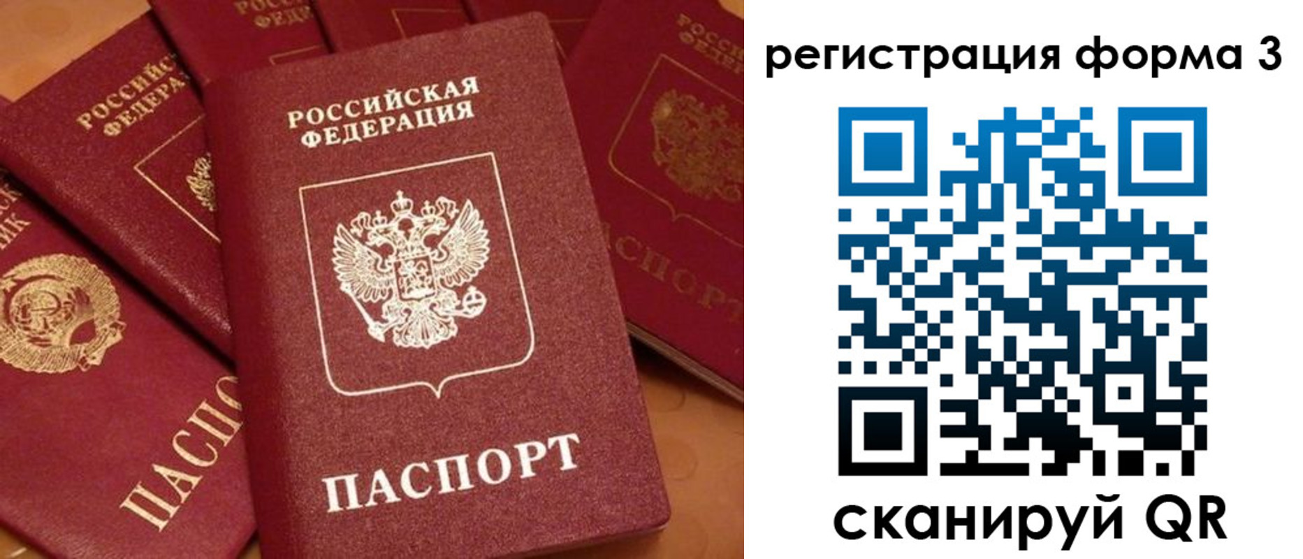прописка для школы в Красногорске